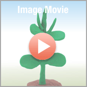 Image Movie